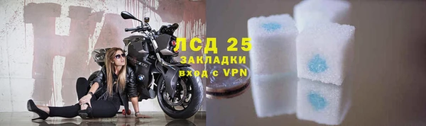 прущие грибы Зеленокумск