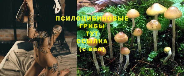 ALPHA PVP Заволжск