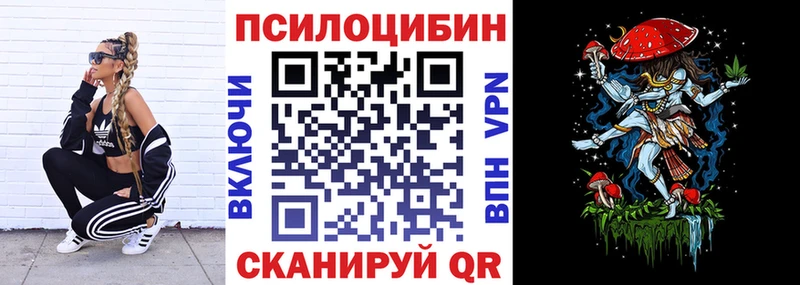Галлюциногенные грибы Psilocybe  Сурск 